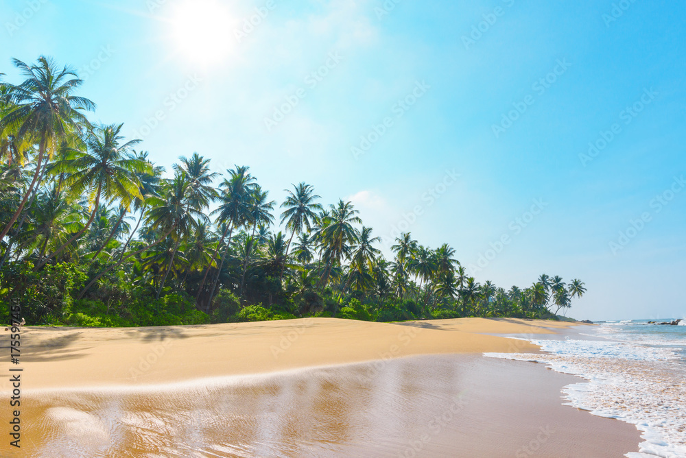 Fototapeta premium Beautiful empty beach on tropical island with coconut palm trees and clean sand at clear sunny summer day