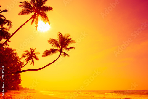 Fototapeta Naklejka Na Ścianę i Meble -  Long wide empty tropical island beach at warm vivid colorful sunset with palm trees hanging over the water