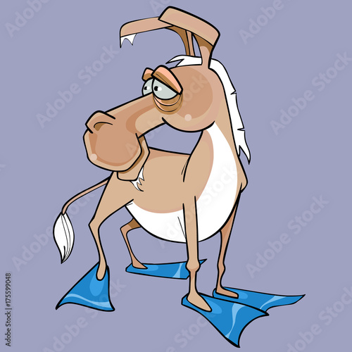 cartoon funny animal is a donkey in fins on each foot