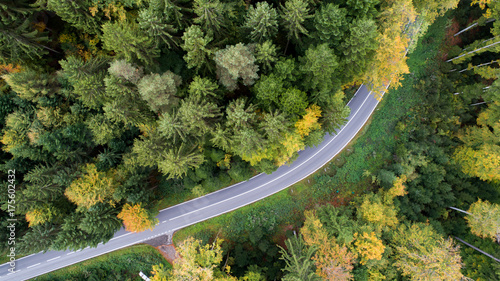 Strasse im Wald von oben