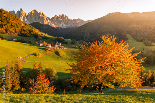 Autumn foliage, Dolomites Alps, Funes Valley, Santa Maddalena. Trentino, Alto Adige, Italy