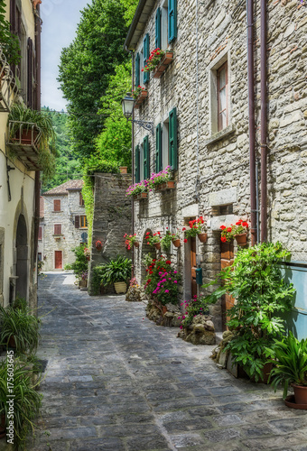 Fototapeta Naklejka Na Ścianę i Meble -  old street with flowers in Italy
