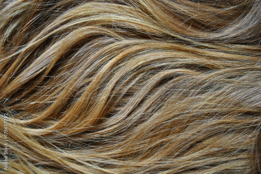 Tekstura włosów blond - obrazy, fototapety, plakaty 