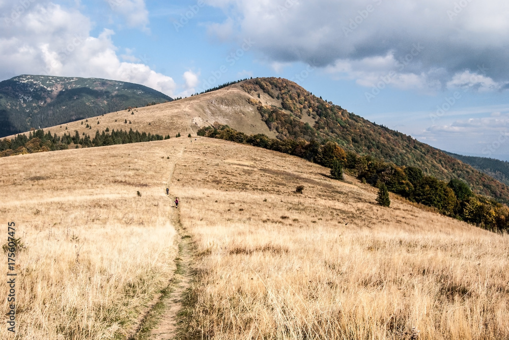 mountain meadow, Kozi chrbat and Prasiva hills near Donovaly resort in Slovakia mountain meadow, Kozi chrbat and Prasiva hills near Donovaly resort in Slovakia