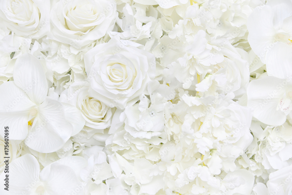 Decoration Artificial White Roses Flower Bouquet As A Fl Wallpaper With Soft Focus And Copy Space Rose Orchid Petals Background For Valentines Day Or Wedding Ceremony Stock Foto Adobe - White Rose Wallpaper Photos