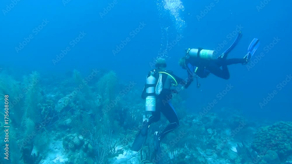 people underwater diving coral life underwater video 1080p Caribbean Sea people underwater diving coral life underwater video 1080p Caribbean Sea