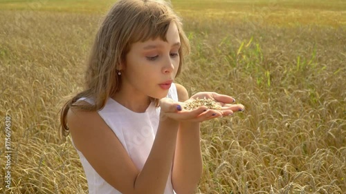 The girl blows off from wheat seed palms in the field. The beautiful fair-haired girl smiles sitting on ears of the Russian field. Cute little girl in the wheat harvest field - in touch with nature photo