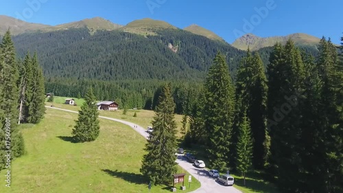 Val Visdende trees and road, Italy. photo