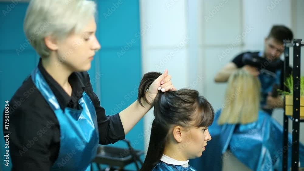 Professional hairdresser cutting hair Professional hairdresser cutting hair