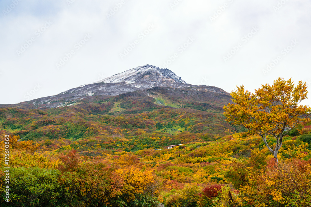 鳥海山　紅葉