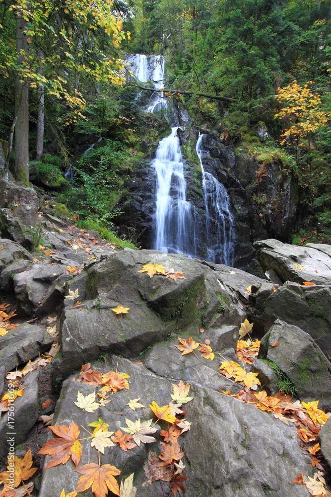 Fototapeta premium Cascade en Forêt / Cascade du tendon en Forêt Vosgienne en france