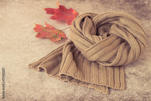     Autumn. A warm knitted scarf and fallen maple leaves on a gray background. Toned photo.