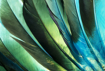 Handdoek met foto Texturen Turquoise eendenveren indianen tooi  © Tammy J Kelly