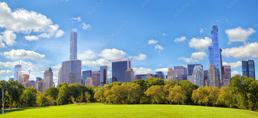 Fototapeta premium Panorama Central Parku i wieżowce na Manhattanie w Nowym Jorku