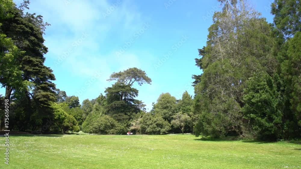 Nature scene of San Francisco Botanical Garden at San Francisco, California, United States Nature scene of San Francisco Botanical Garden at San Francisco, California, United States