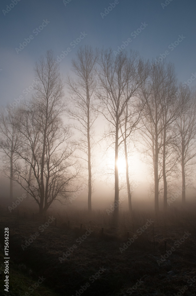 Early morning fog in East-Flanders Early morning fog in East-Flanders