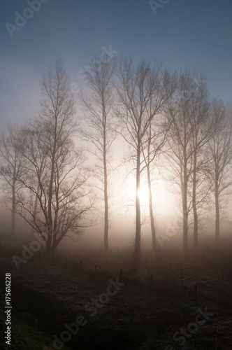 Early morning fog in East-Flanders