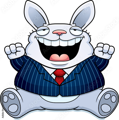 Cartoon Fat Rabbit Suit