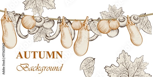 Atumn harvest. Eggplant, tomatoes and onion vegetables Vector background. Lin...