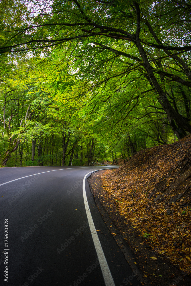 Obraz premium Autumnal landscape of Kakheti region