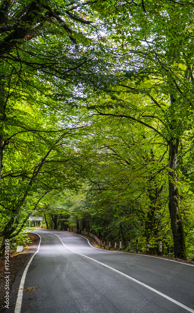 Obraz premium Autumnal landscape of Kakheti region