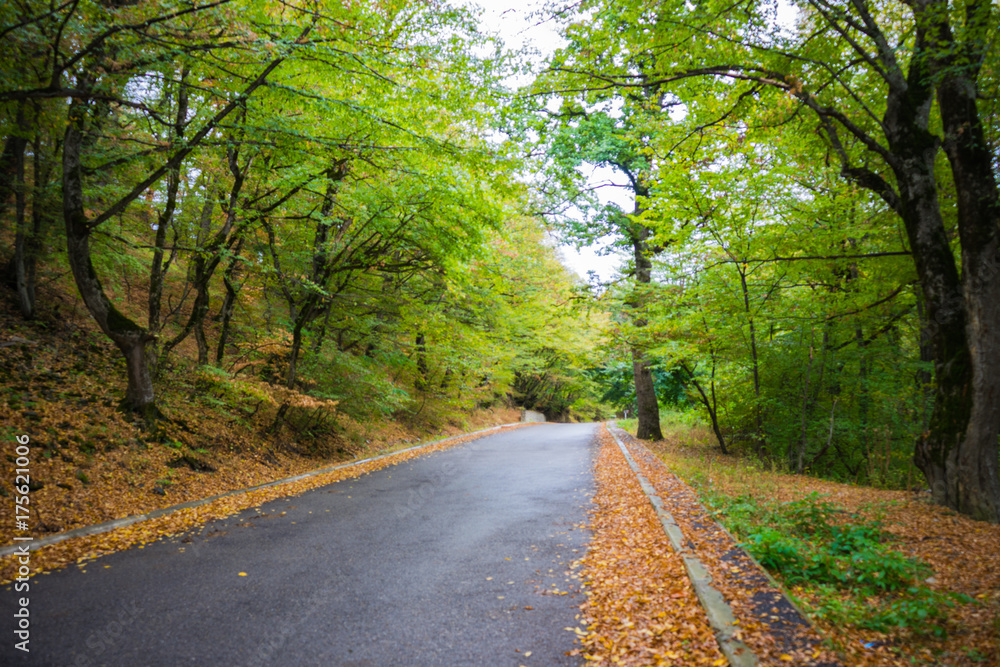 Autumnal landscape of Kakheti region