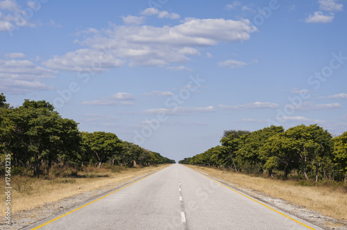 Landscape with straight road / Landscape with straight road left and right trees to the horizon, Namibia, Africa. © ub-foto