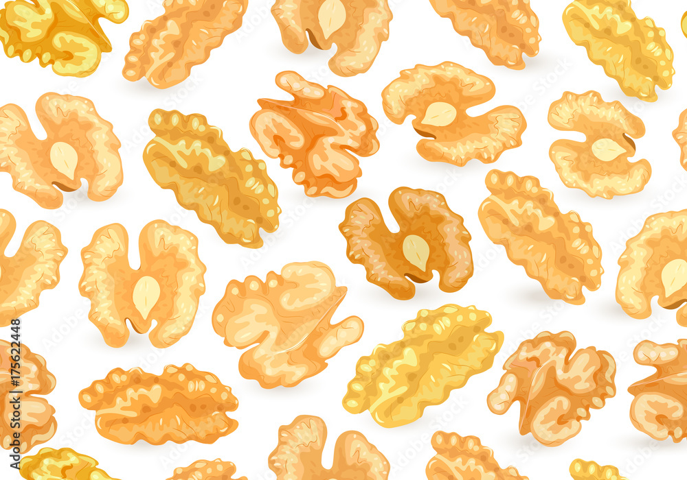 seamless texture with walnuts kernels for your design seamless texture with walnuts kernels for your design