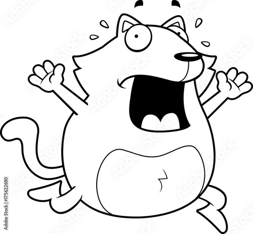 Cat Panic