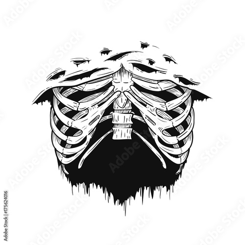 Human rib cage in retro vintage style. Design template for tattoo, print, cover. Vector illustration.