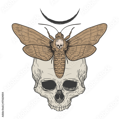 Death head hawk moth with human skull in retro vintage style. Design template for tattoo, print, cover. Vector illustration.