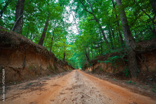 The Stage Coach Road in Marshall Texas