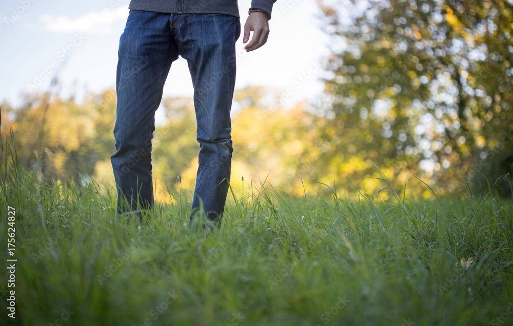 Juger Mann stehend auf Herbstwiese, Vorderansicht, Ausschnitt Juger Mann stehend auf Herbstwiese, Vorderansicht, Ausschnitt