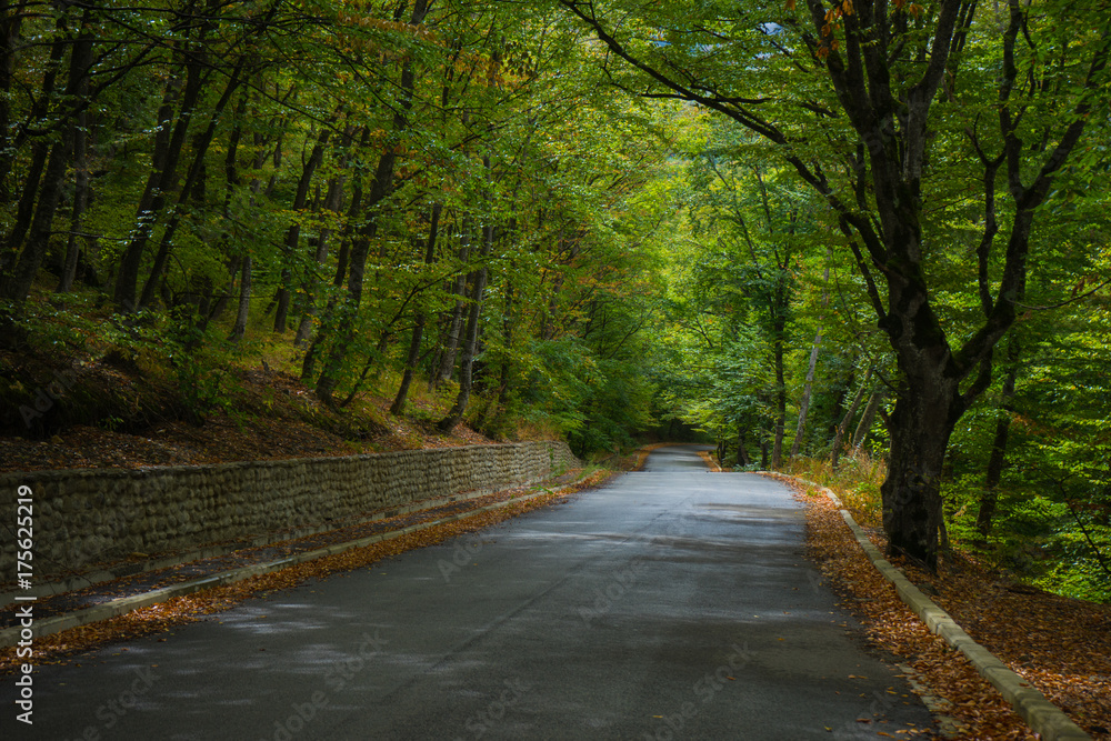 Obraz premium Autumnal landscape of Kakheti region