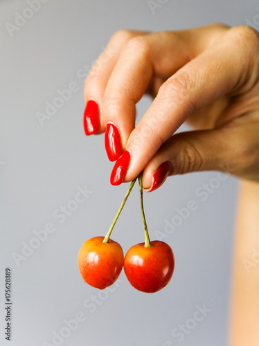 The fingers of the female hand hold the cherries against the gray gradient background. © Alexander