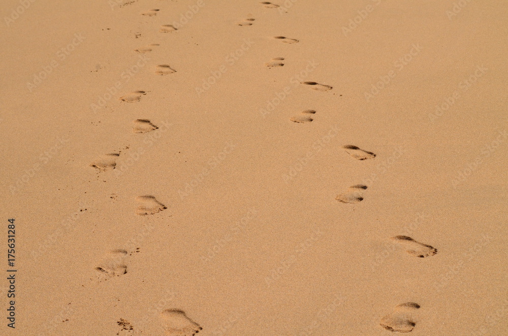 Walking side by side barefoot in the sand Walking side by side barefoot in the sand