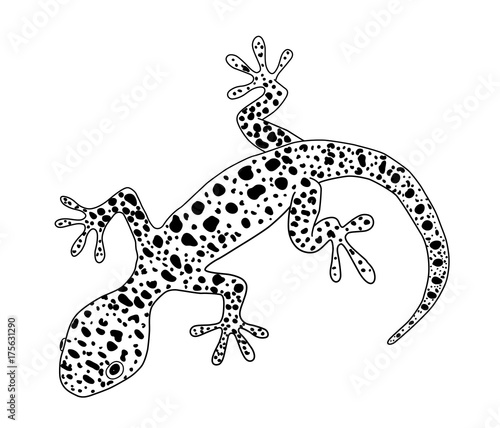 Lizard. Hand drawn doodle. Ethnic patterned illustration. Sketch tattoo.