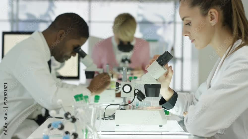 Medical research scientists working together in modern laboratory Medical research scientists working together in modern laboratory