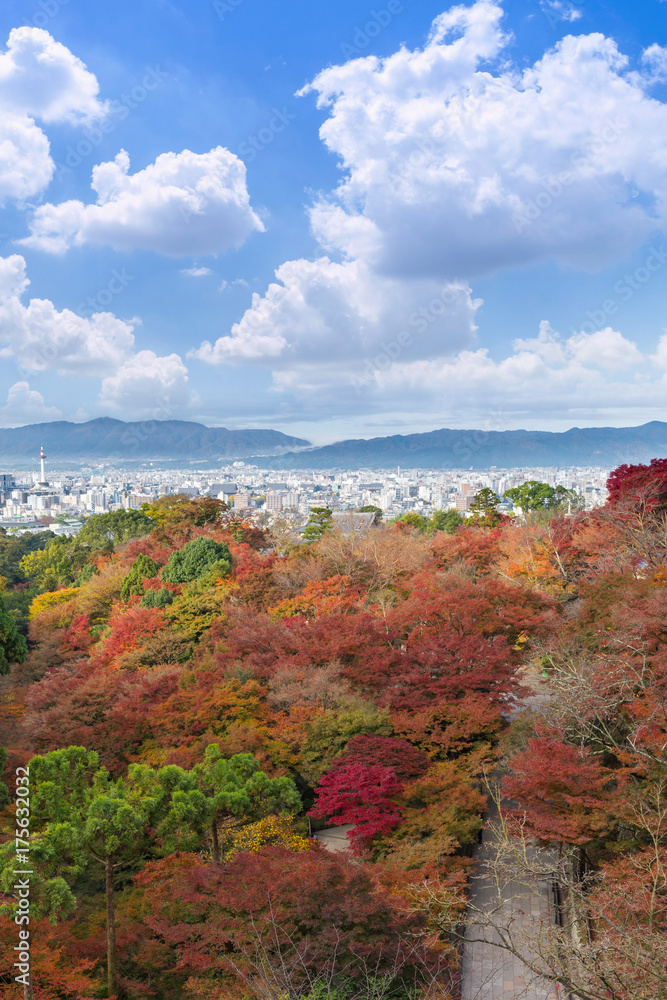 the beautiful Momiji autumn colorful maple garden at Kiyomizu-Dera temple with Kyoto city background, Japan