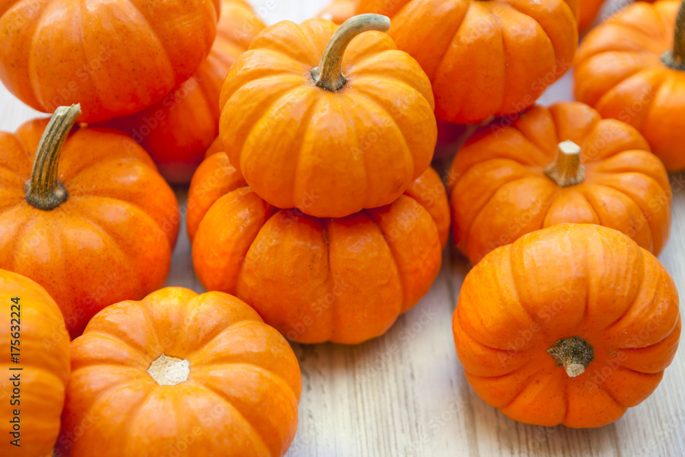 Thanksgiving Mini Pumpkins Thanksgiving Mini Pumpkins