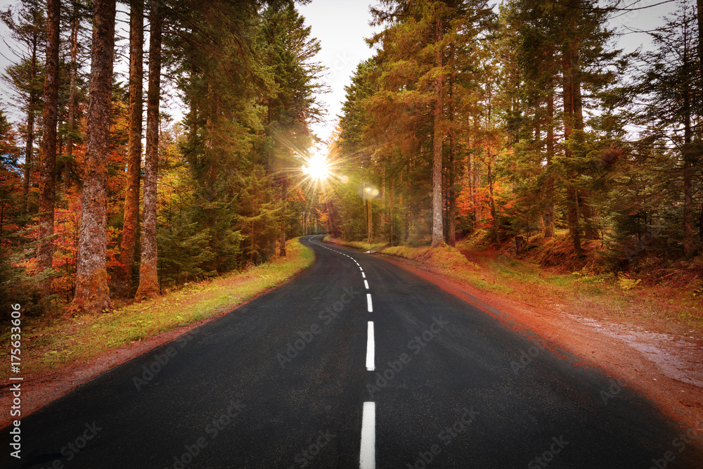 Fototapeta premium Route sinueuse en automne à travers la forêt