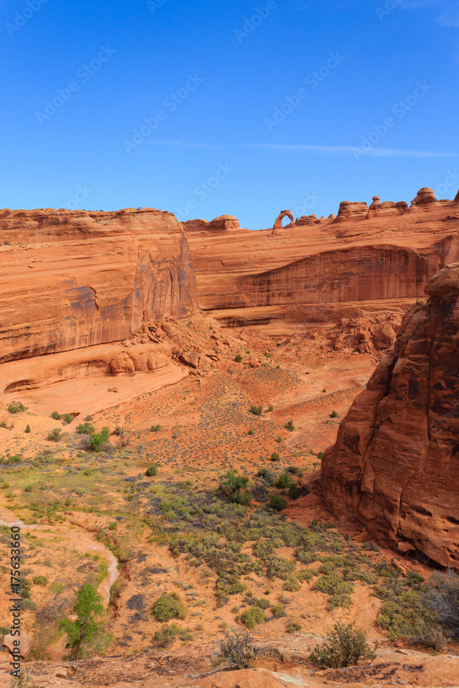 Delicate arch view