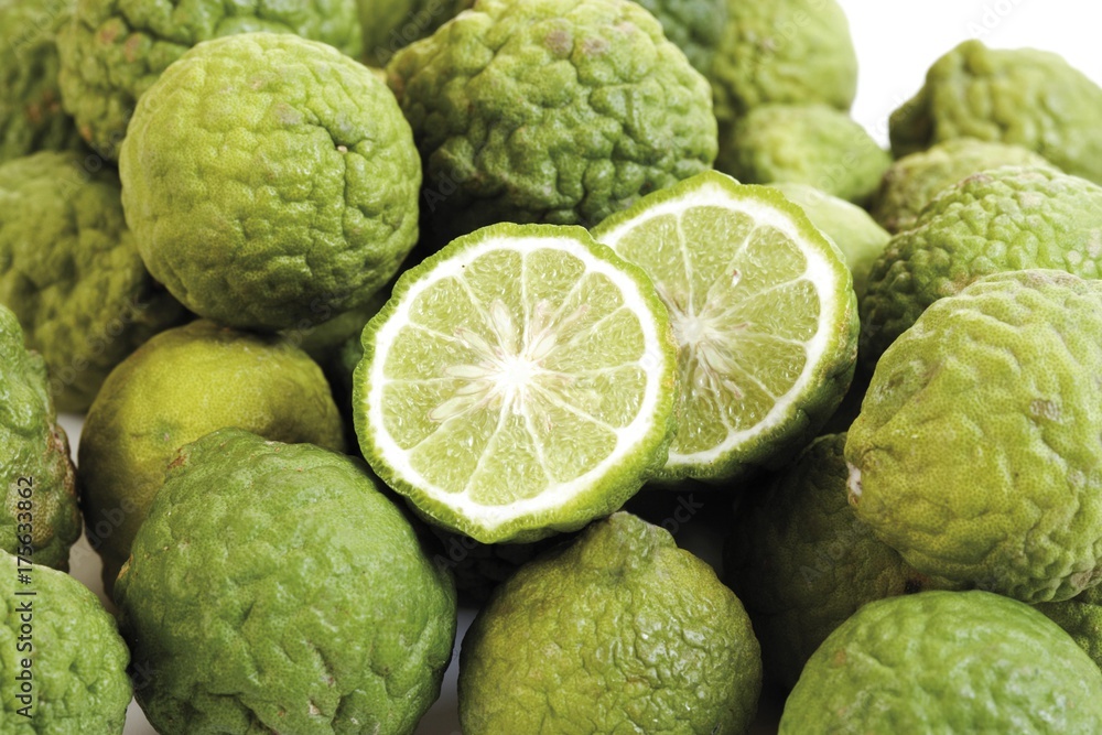 Fototapeta premium Miniature limes (Citrus)