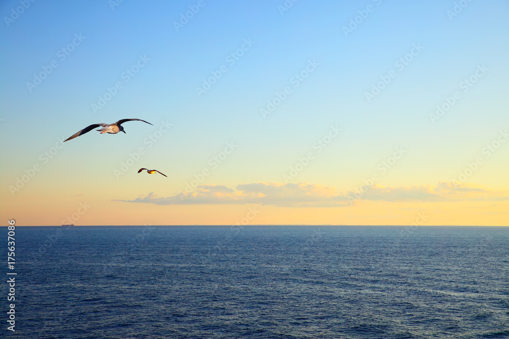 Seascape with flying seagulls