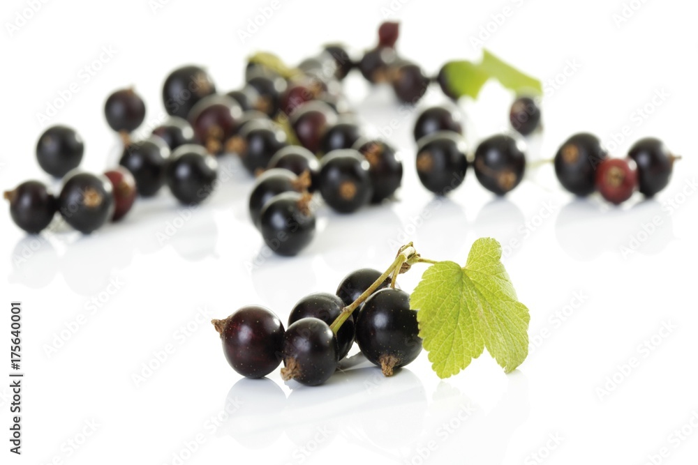 Blackcurrants, Black Currants (Ribes nigrum) Blackcurrants, Black Currants (Ribes nigrum)