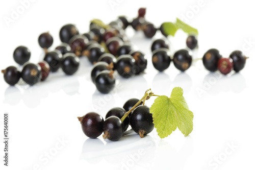 Blackcurrants  Black Currants  Ribes nigrum 