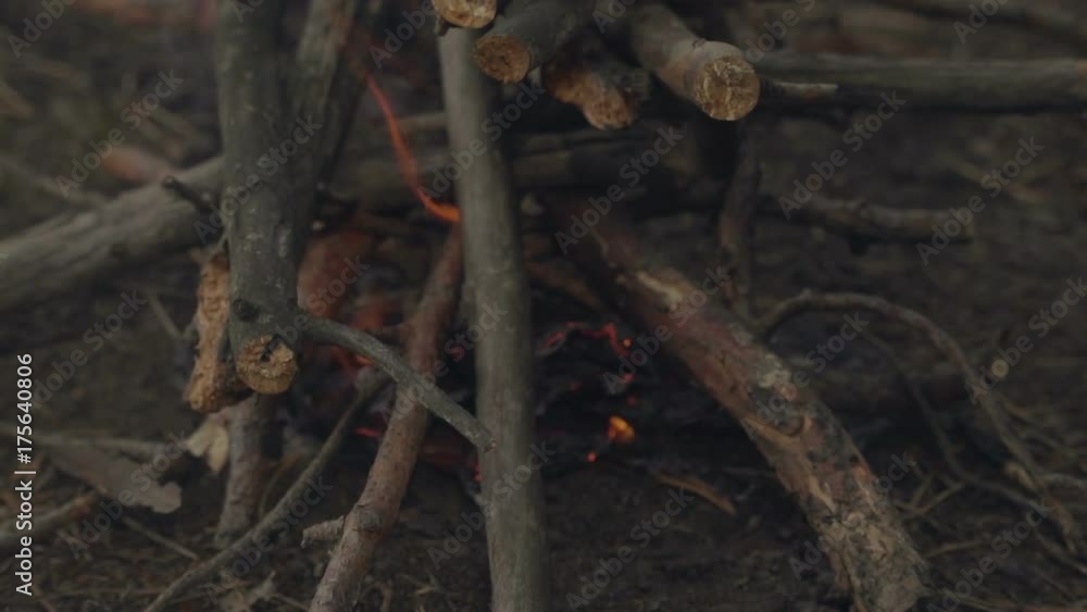 Campfire burning at night evening slow motion close up Campfire burning at night evening slow motion close up