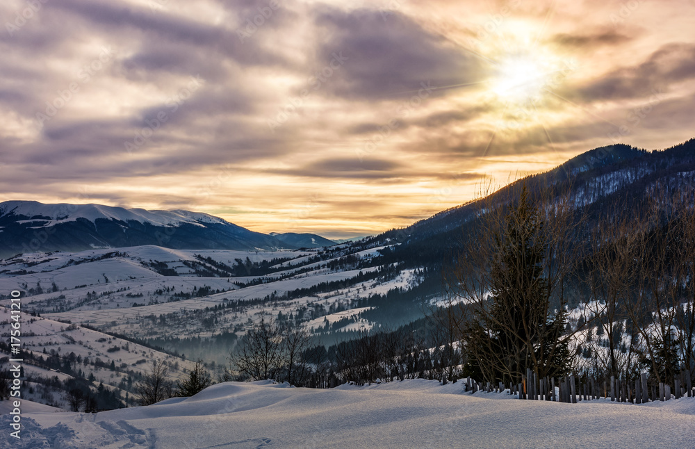 cloudy sunrise over the mountainous rural area in winter. beautiful countryside landscape with naked trees on snowy hillsides of Carpathian mountain ridge