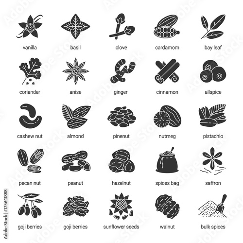 Spices glyph icons set