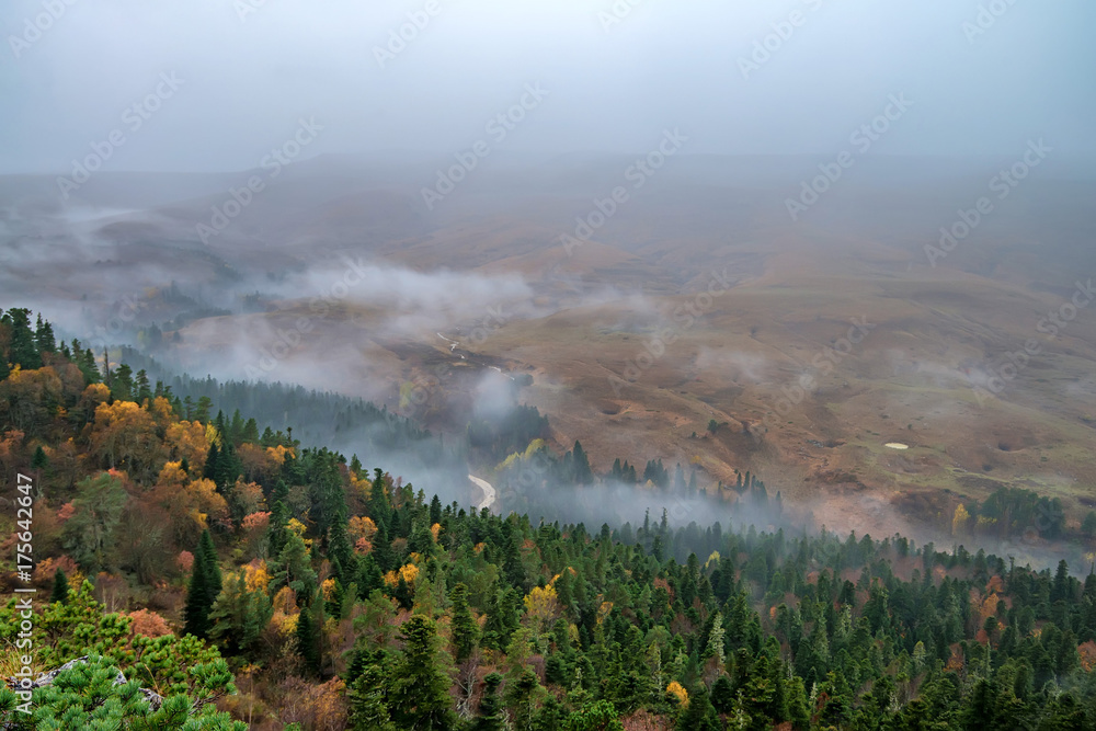 Autumn landscape with mountain forest
